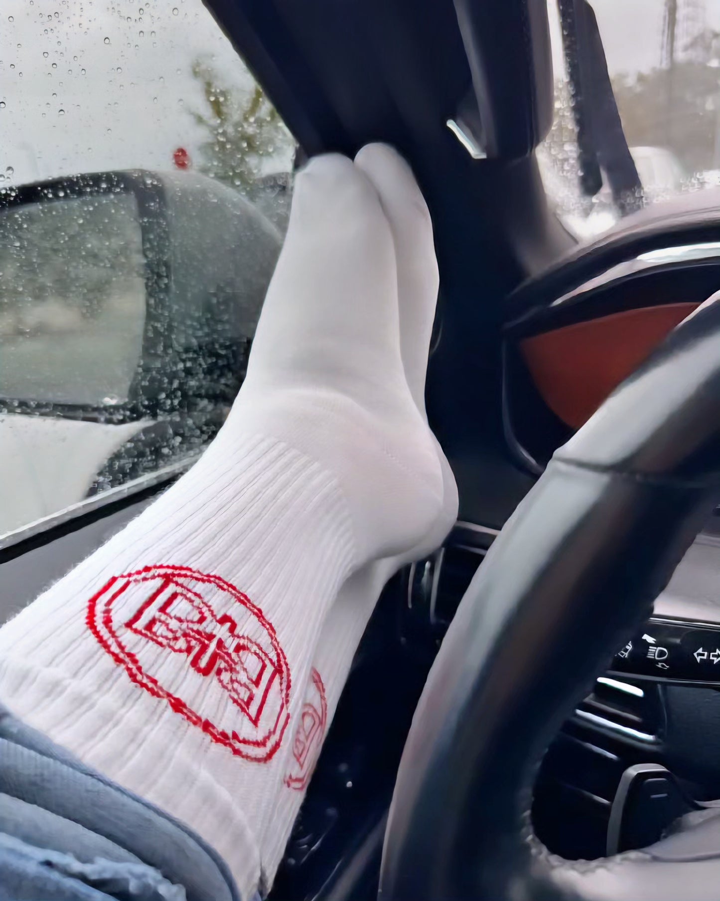 1 COR 6:20 Socks